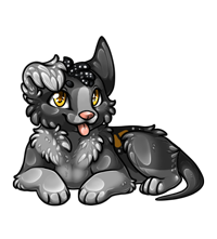 Pet image
