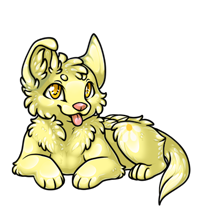 Pet image