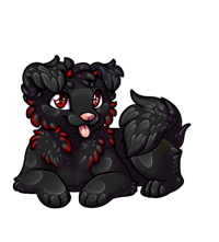 Pet image