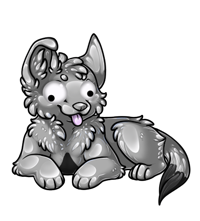 Pet image