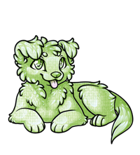 Pet image