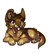 Pet image