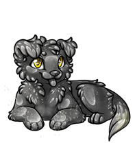 Pet image