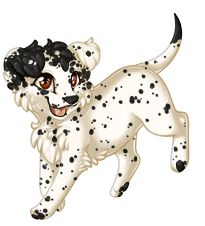 Pet image