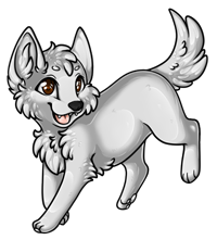 Pet image