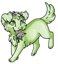 Pet image