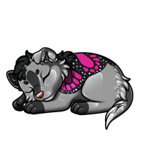 Pet image