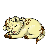 Pet image