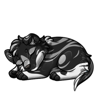 Pet image