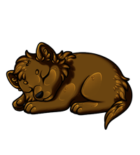 Pet image