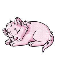 Pet image