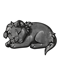 Pet image