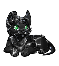 Pet image