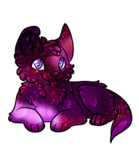 Pet image