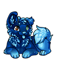 Pet image