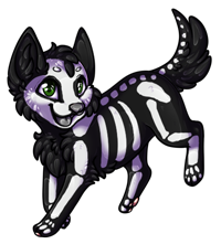 Pet image