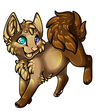 Pet image