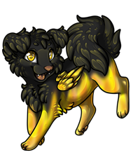 Pet image