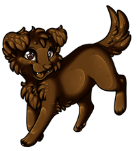 Pet image