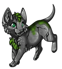 Pet image