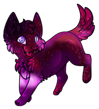 Pet image
