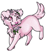 Pet image