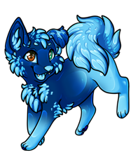 Pet image