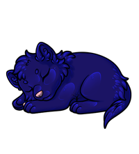 Pet image