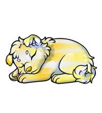 Pet image