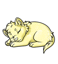 Pet image