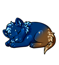 Pet image