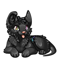 Pet image