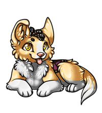 Pet image