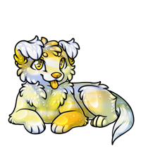 Pet image