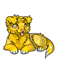 Pet image