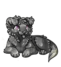 Pet image