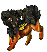 Pet image