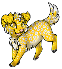 Pet image