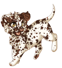 Pet image