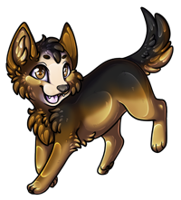 Pet image