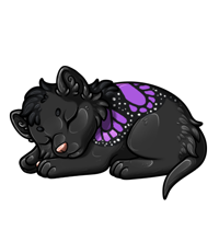 Pet image