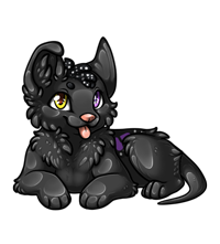 Pet image