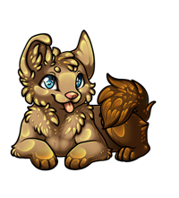 Pet image