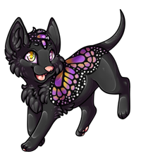 Pet image