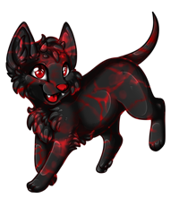 Pet image