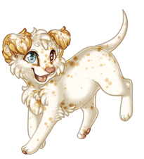 Pet image