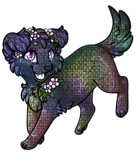 Pet image