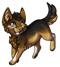 Pet image