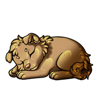 Pet image