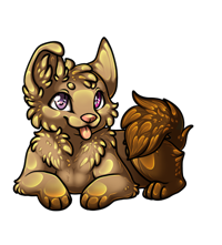 Pet image